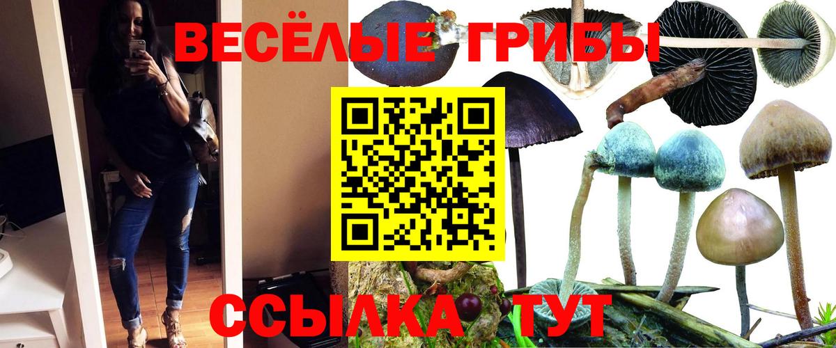 Псилоцибиновые грибы Psilocybine cubensis  Вход с VPN  купить наркотик  Каменск-Уральский  Галлюциногенные грибы мицелий 
