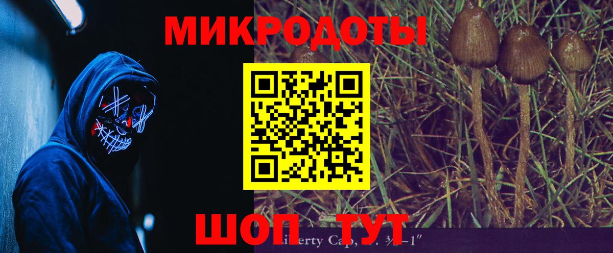 Псилоцибиновые грибы Psilocybine cubensis Каменск-Уральский